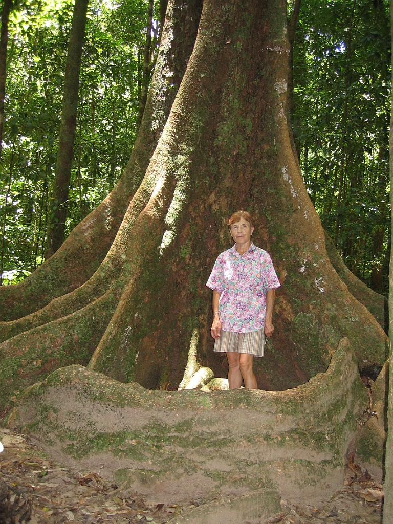 221 Mossman Gorge.jpg